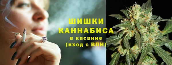 spice Верхний Тагил