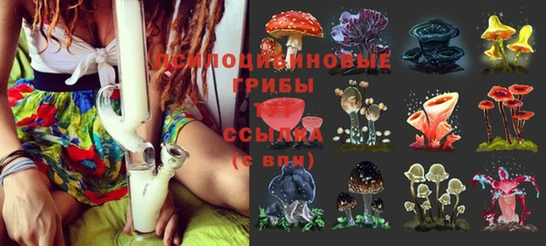 spice Верхний Тагил