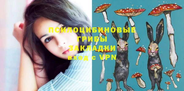 spice Верхний Тагил
